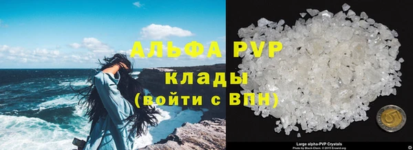 индика Тавда