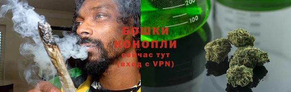 2c-b Горнозаводск