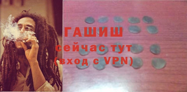 2c-b Горнозаводск