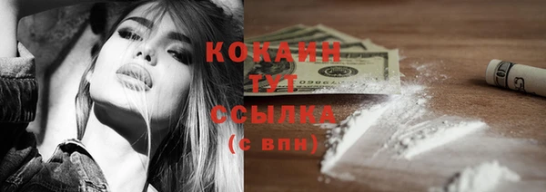 2c-b Горняк
