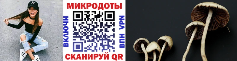 Псилоцибиновые грибы мицелий  Купить закладки  Протвино 